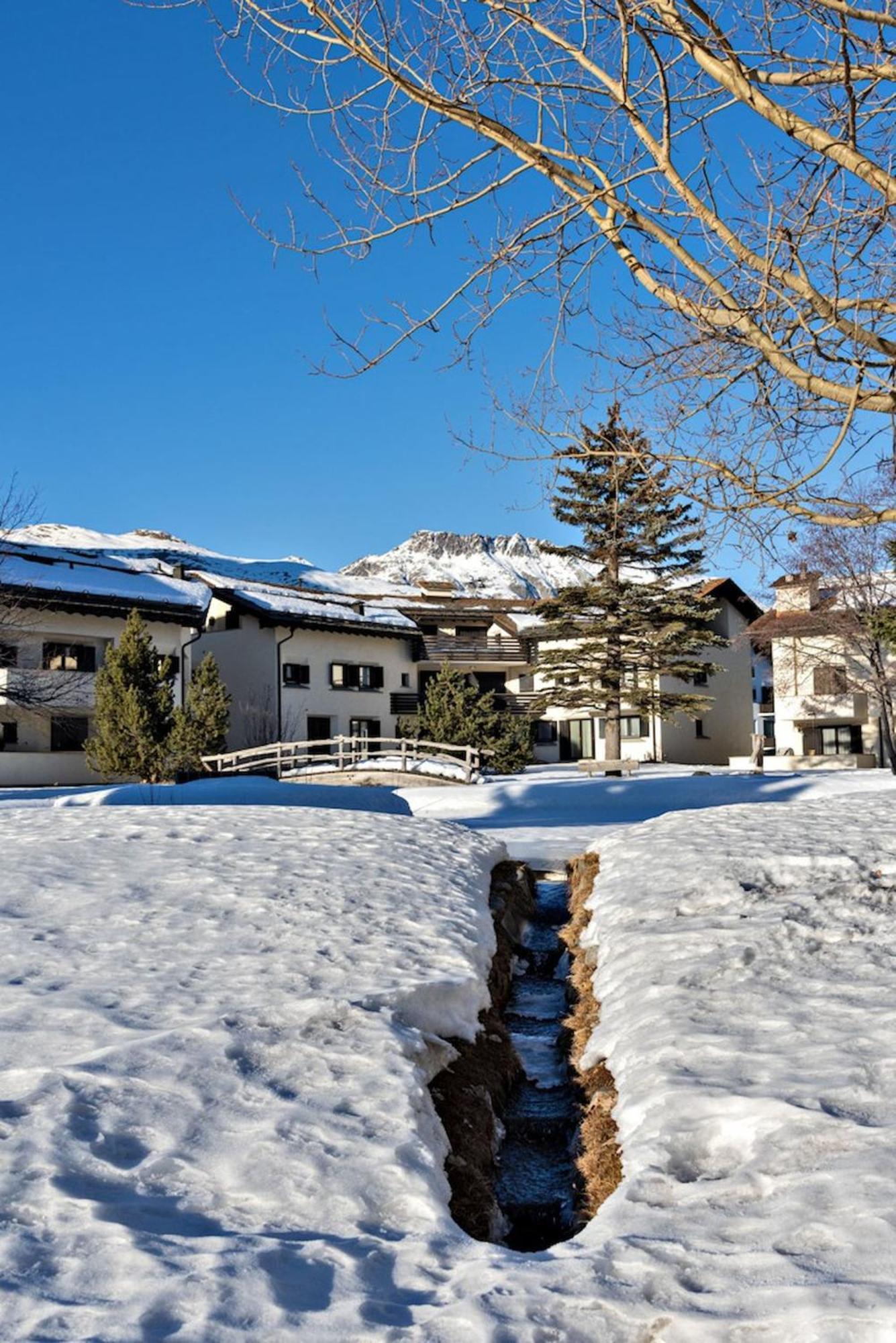 Apartmán Chesa Chavriol - Celerina Celerina/Schlarigna Exteriér fotografie